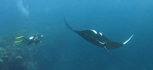 Iwona i Manta 01.jpg