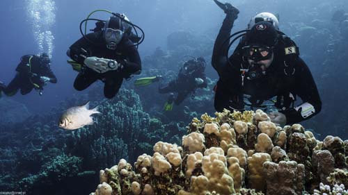 90Marek i Szymek. Na drugim planie Jaś i Mariusz.jpg