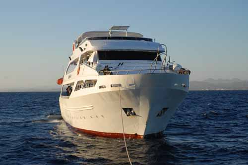 01 Marselia Star.jpg