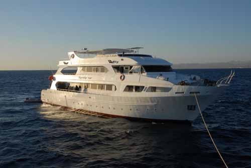 02 Marselia Star.jpg